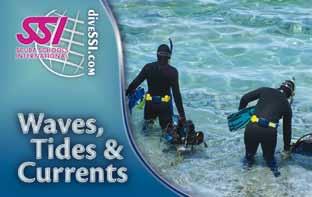 You can also share your profile with dive buddies and the SSI Dive Center(s) or Dive