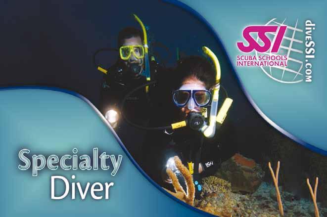 Adventurer: 5 Specialty Dives Specialty Diver: 2 Specialty Courses + 12 Dives Master Diver: 4