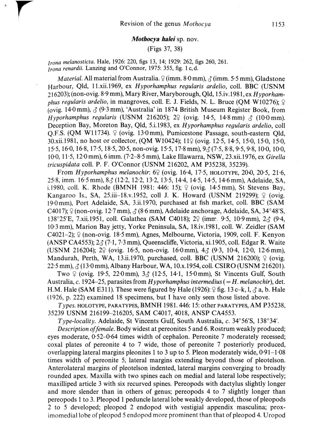 Revision of the genus Mothocya 1153 Mothocya halei sp. nov. (Figs 37, 38) Irona melanosticta. Hale, 1926: 220,figs13, 14; 1929: 262,figs260, 261. Irona renardii. Lanzing and O'Connor, 1975: 355,fig.