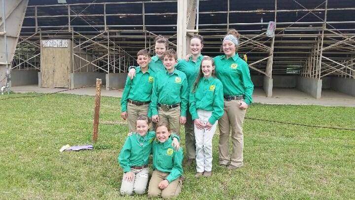 Intermediate Individuals: Cameron Powers 4th in Performance, Cameron Jenkins 5th in Halter, Naomi Ornelles 3rd in Halter, Cameron