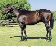 etc 3rd leading Sire of