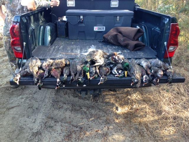 18 Wood Ducks, 2 Mallard, 3 Teal, 1 Gadwall and 1 Redhead confiscated from the Berrien County pond.