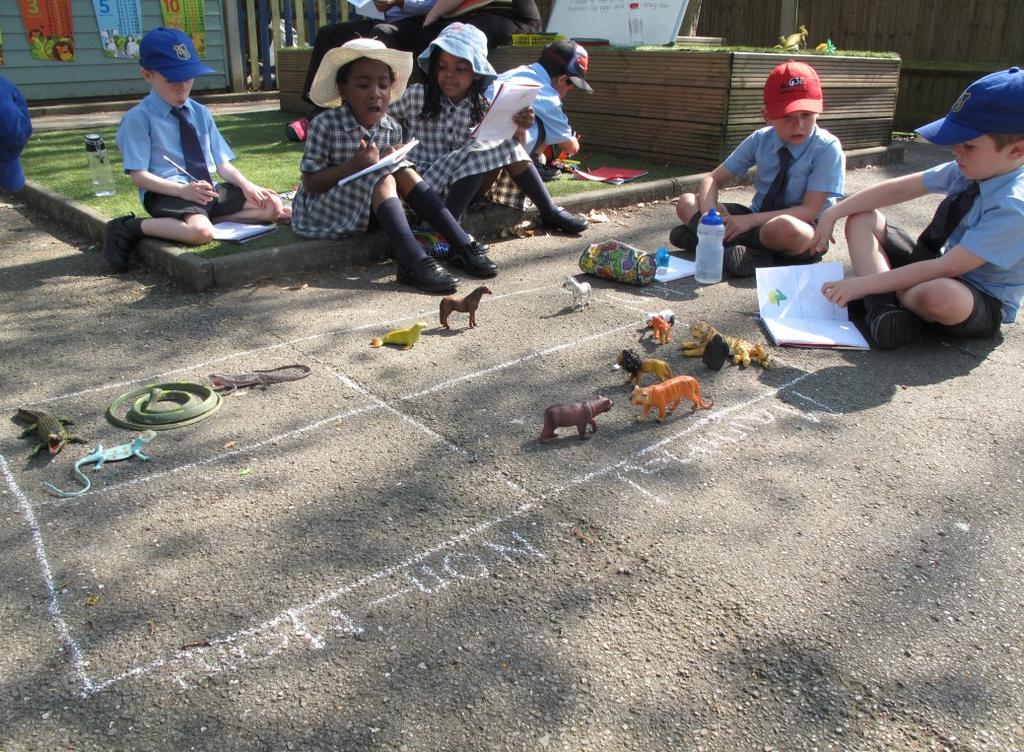 We created a Carroll Diagram on the playground with chalks and the children had to place their chosen animal in