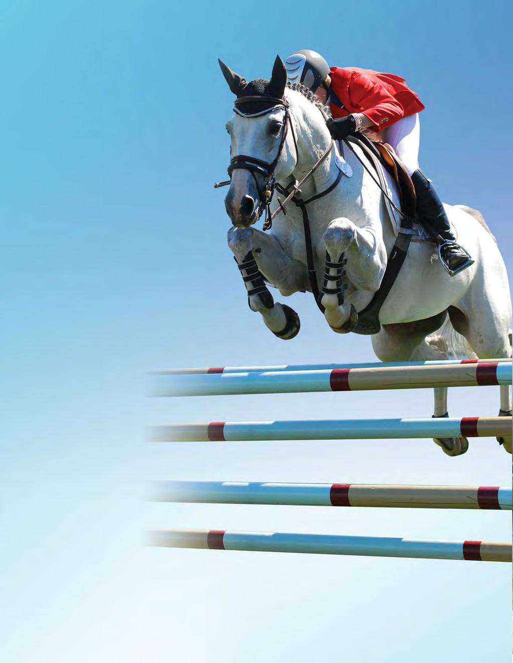 One Ring Wonder Recognized as one of the top horse shows in North America by the North American Riders Group, the Washington International offers the best in show jumping, hunter and