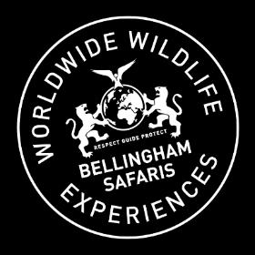 Bellingham Safaris Scheduled