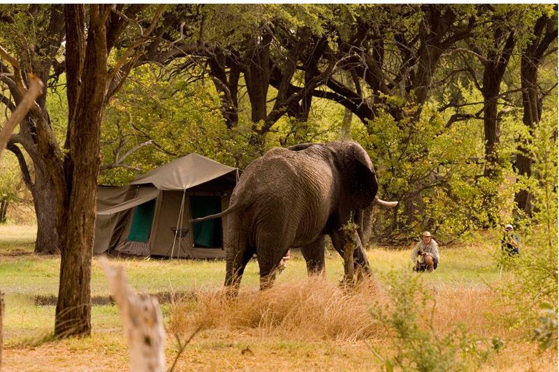 overland safari accommodation, including beds,