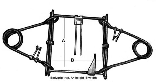 Specifications of Traps Meeting BMP Criteria for Fisher in the United States A=height B=width Figure FS6.