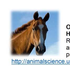 Horse Program On-line Resources Available for Horse Producers Resources and helpful websites are available for horse owners and producers at the following site: http://animalscience.unl.