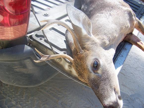 WARE COUNTY On November 7th, RFC Mark Pool completed an investigation related to someone shooting deer from a public road and without permission.