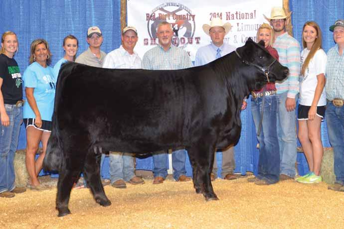 SBLX ZNOTE EMBRYO FLUSH SBLX Znote 43Z is the 0 National Junior Heifer Show grand champion female for Lauren Stowers.