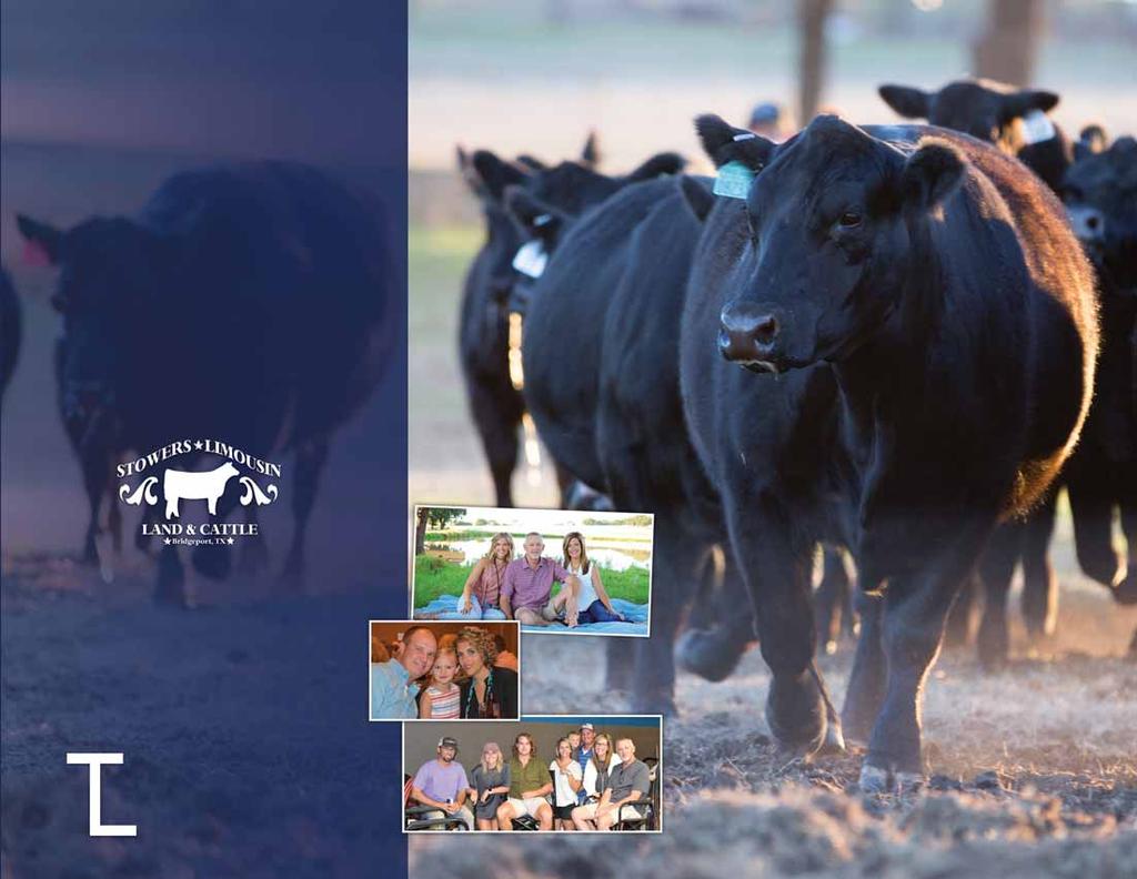 HEDULE... Friday, October 7th 1:00 p.m. Cattle available for viewing Saturday, October th :00 a.m. Cattle available for viewing 11:00 a.m. Complementary Lunch 1:00 p.m. Texas Tradition IV Sale Scott, Donna & Lauren Stowers 4 CR 1326, Bridgeport, TX 76426.