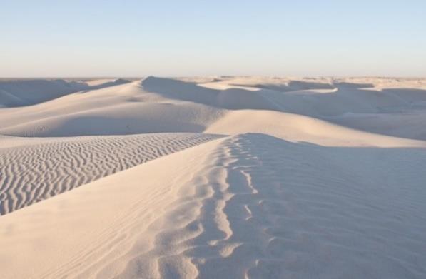 It s situated in between the Wahiba Sands and the edge of Empty Quarter boasting an unexpected array of buzzing energy.