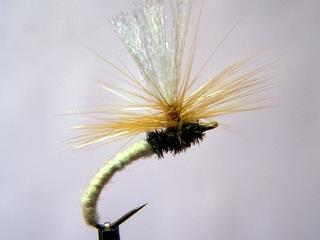 By Derek Young This fly, traditionally a trout and grayling pattern, was developed in the early 80 s by a Dutch fly-tier, Hans van Klinken to imitate the caddis or emerging sedge larva found in the