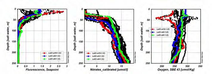 Distribution of chlorophyll a, density, nitrates,