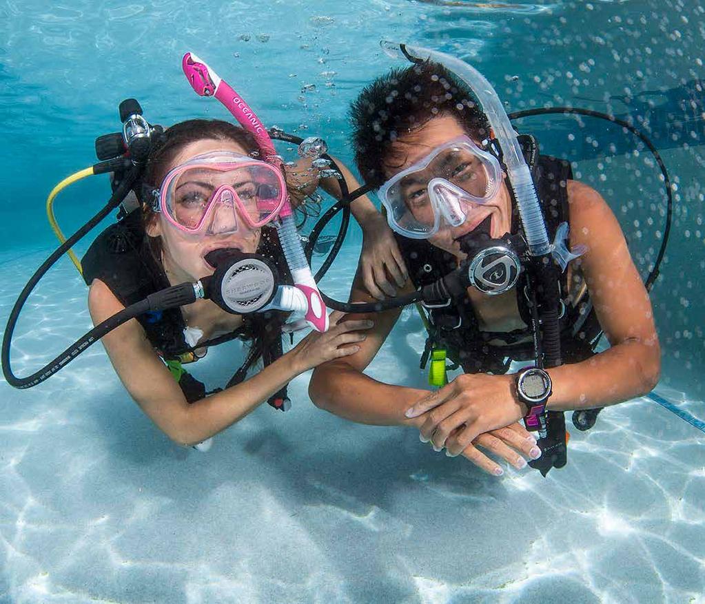 Open Water Courses Learn to Dive! PADI 4 Day Learn To Dive* Our professional and friendly instructors will provide attentive expert tuition on all Open Water dive courses.