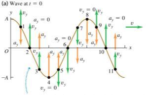 Particle velocity and acceleration in a sinusoidal wave Wave equation: 2 y(x, t) x 2 = 1 2 y(x, t) v 2 t 2 All wave behavior obeys the wave equation.