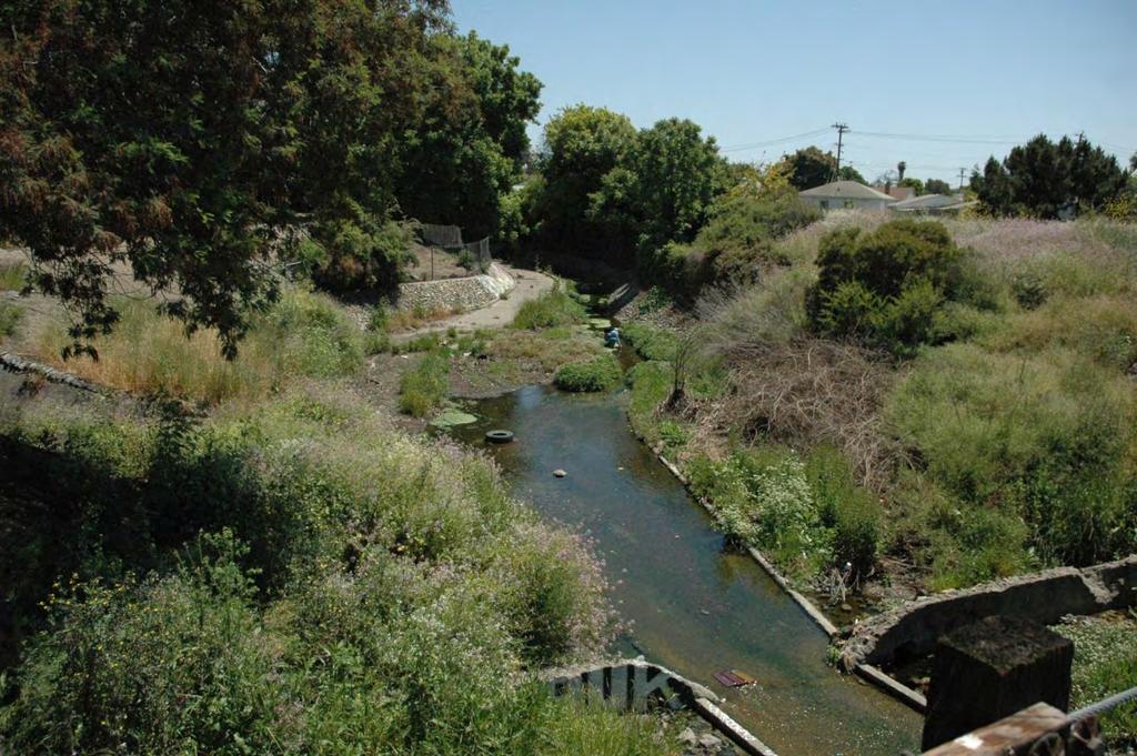 Confluence of Stonehurst Creek