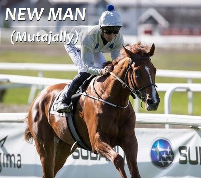 The most successful Norwegian homebred in 2018 a son of Mutajally Mutajally's classy son New Man was the most successful homebred in Norway last season, and he has been in the top flight of his