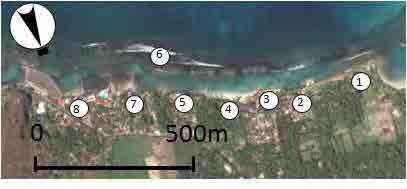 b) Central Area The west area has roughly 1 km alongshore