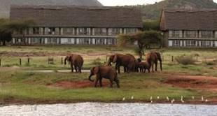 Arrive at the lodge in time for lunch Nestled in the heart of elephant country, Voi Wildlife Lodge is