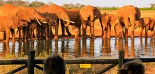 which often attracts big game like elephant, lion, cheetah, buffalo as well as a rich variety of birdlife.