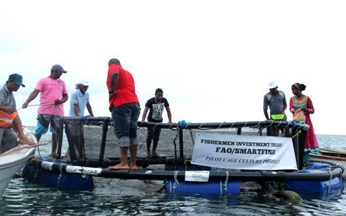 The main objective of the Project is to promote aquaculture development as a diversification opportunity for redundant fishers in Mauritius, train small-scale stakeholders in small-scale culture unit