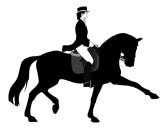 Chevalier Gymkhana is a well-established horse show, catering for beginner riders through to the seasoned show competitor HACKING DRESSAGE JUMPING SPORTING