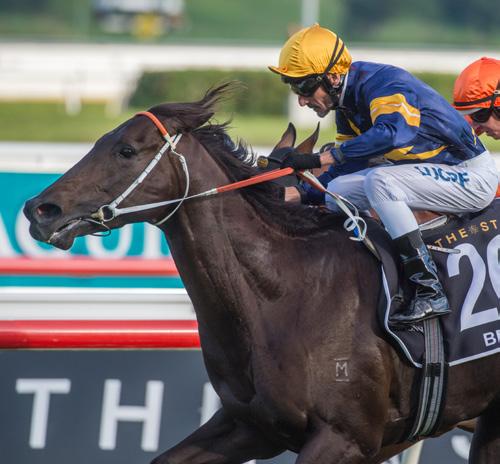 2 / RANDWICK ROUND UP RANDWICK ROUND UP Day one of The Championships at Randwick certainly didn t disappoint and horses by WS stallions did their sires proud in a number of top races.