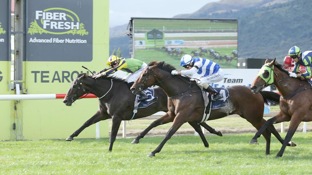 4 / GROUP 1 SAVABEEL QUINELLA GROUP 1 SAVABEEL QUINELLA Back in New Zealand, the best fillies and mares in the country fought it out in the Group 1 New Zealand Thoroughbred Breeders Stakes.