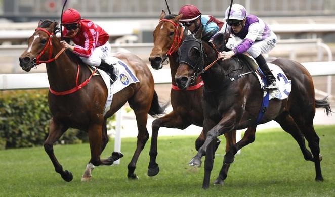 5 / HONG KONG HERO HONG KONG HERO Proving that Savabeel s success is felt in Asia too, Rattan topped off an excellent weekend for his champion sire by winning the Group 2 The Sprint Cup at Sha Tin.