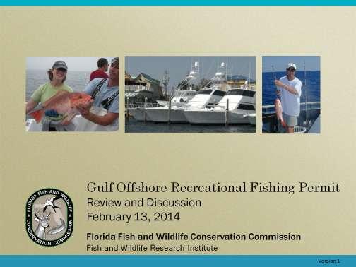 This is a review and discussion of a proposal to develop and implement a Gulf Offshore Recreational Fishing Permit in support of more accurate, precise, and timely catch and effort estimates for