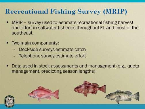 Data on the recreational fisheries harvest, number of fish caught and released, and fishing effort (number of recreational fishing trips) is collected through NOAA Fisheries Marine Recreational