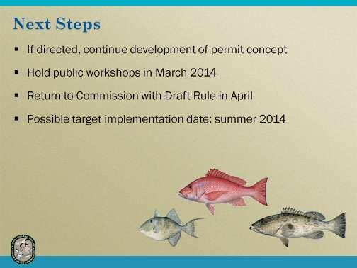 If directed by the Commission today, staff will continue development of the Gulf Offshore Recreational Fishing permit concept and implementation strategy.
