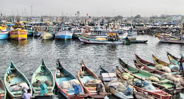Knowledge and awareness of captains of fishing vessels Survey results from Chennai Fishing Harbour N = 61 99% of captains (drivers) have not undertaken any training.
