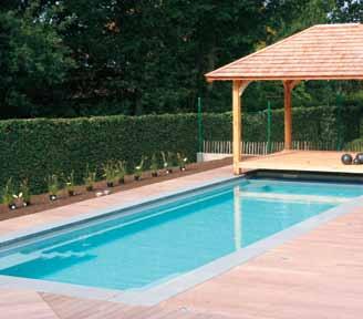 45m aspen APOLLO SPILLWAY SPA Modern lap pool design with