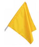 ART. 15) FLAGS The flags employed by the race Direction will be the following: ITALIAN FLAG Start of free practice, qualifying and race.