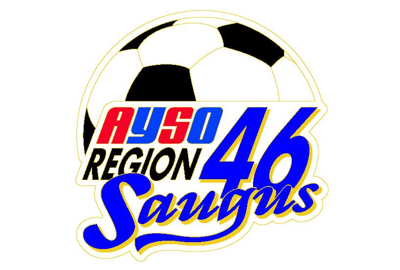1 AYSO REGION 46 COACHES INFORMATION SUMMARY Spring 2019 Each Team will provide 8 completed game cards with the following: 1. Region, Division and Team # 2.