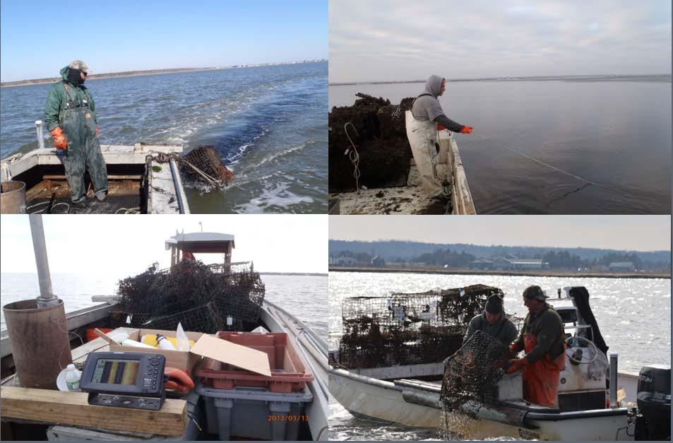 Operations Guide for the Recovery of Derelict Crab Pots from Shallow Soft Sediment Estuaries: Lessons Learned from a Mid-Atlantic Coastal Bay This project was funded by the NOAA Restoration Center,