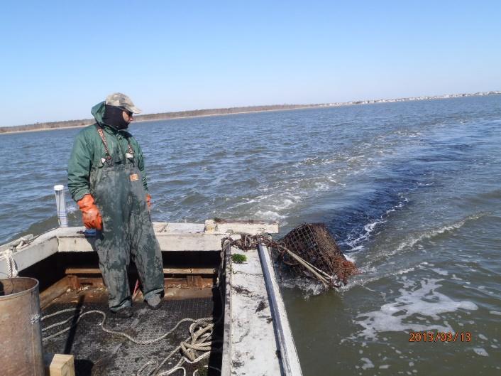1.0 Introduction Recovering derelict Chesapeake-style crab pot gear (ghost pots) from shallow soft-sediment estuaries presents particular challenges due to the sedimentation depth of the gear and the