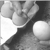 Peel the eggs and cut them in two Serve with the sauce.