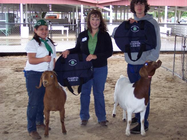 COUNTY 4-H LARGE ANIMAL BREEDING SHOW WHAT IS 4-H LARGE ANIMAL BREEDING SHOW?