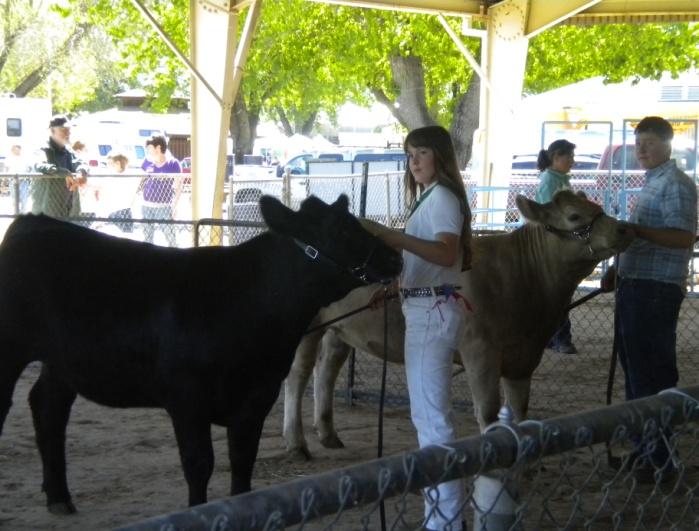 All 4-H members, 4 th grade and older, who are currently enrolled in a breeding project in the Meat Goat, Swine, Sheep, Dairy Cattle, Dairy Goat and Beef projects.