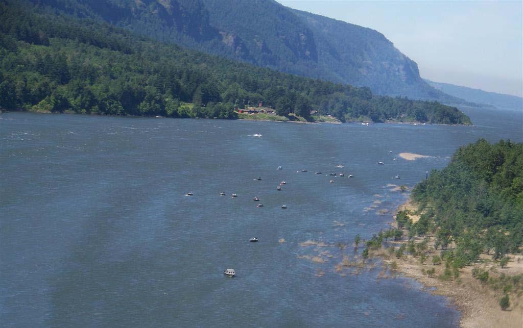 2015 Summer Review Summer Chinook Salmon forecast 73,000 adults Pre-season allocation 5,500 shared 70/30