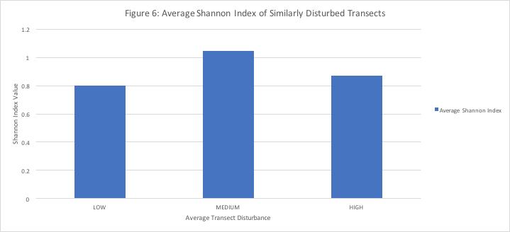 Figure 8: Medium Disturbance transects have higher Shannon Index Values than low and high disturbance transects.