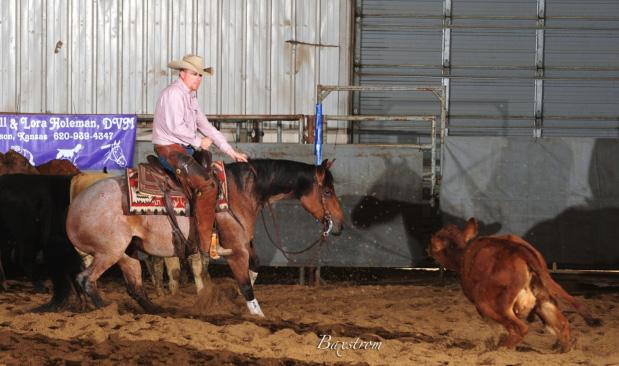 Horse Palace Arena, Exit 437 Barrels, rope horses, cutting horses on cattle, saddle, ride,