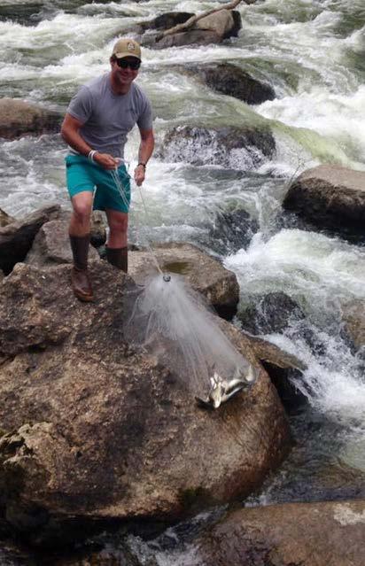 2016 Diadromous Migration Season on the Presumpscot 5 We first encountered alewives at Presumpscot Falls making an effort to ascend on May 23rd, We sampled fish that day with a cast net, capturing