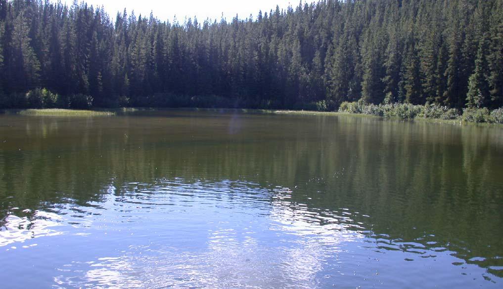 Executive Mount Milligan 2004 Mt. Milligan Lake is a shallow and productive, 24 ha, marl bottomed lake situated 110 km southwest of Mackenzie. A stocking assessment was conducted at Mt.