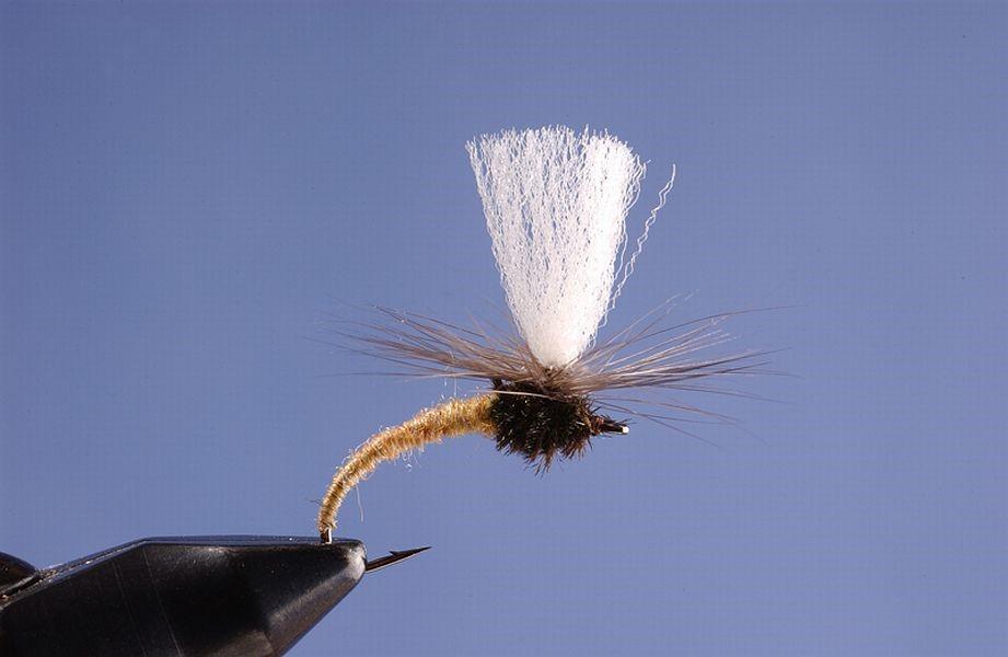 Fly of the Month: Klinkhamer Special Hook: Curved-shank, light wire hook, sizes 20 to 8 (Orvis 8A00 Klinkhamer Hook) Thread: Size 8/0 (70 denier) to start, and Spider Web for completing the pattern