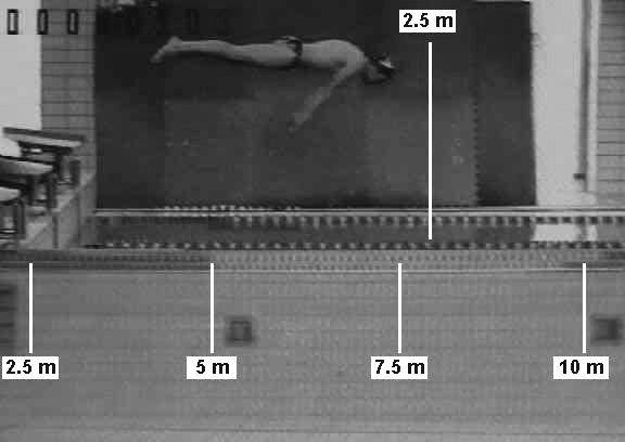 Instrumental. To be able to evaluate a large group of swimmers simultaneously, three cameras were placed along the swimming pool: two at 10m from both ends and one in the centre.