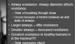 2. Airway resistance Factors influencing airway resistance The lung volume: 1. higher the lung volume the lower the resistance 2.